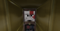 Settler